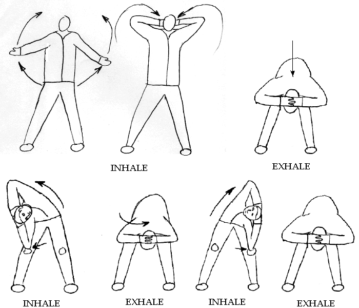 Exercises for Back Pain