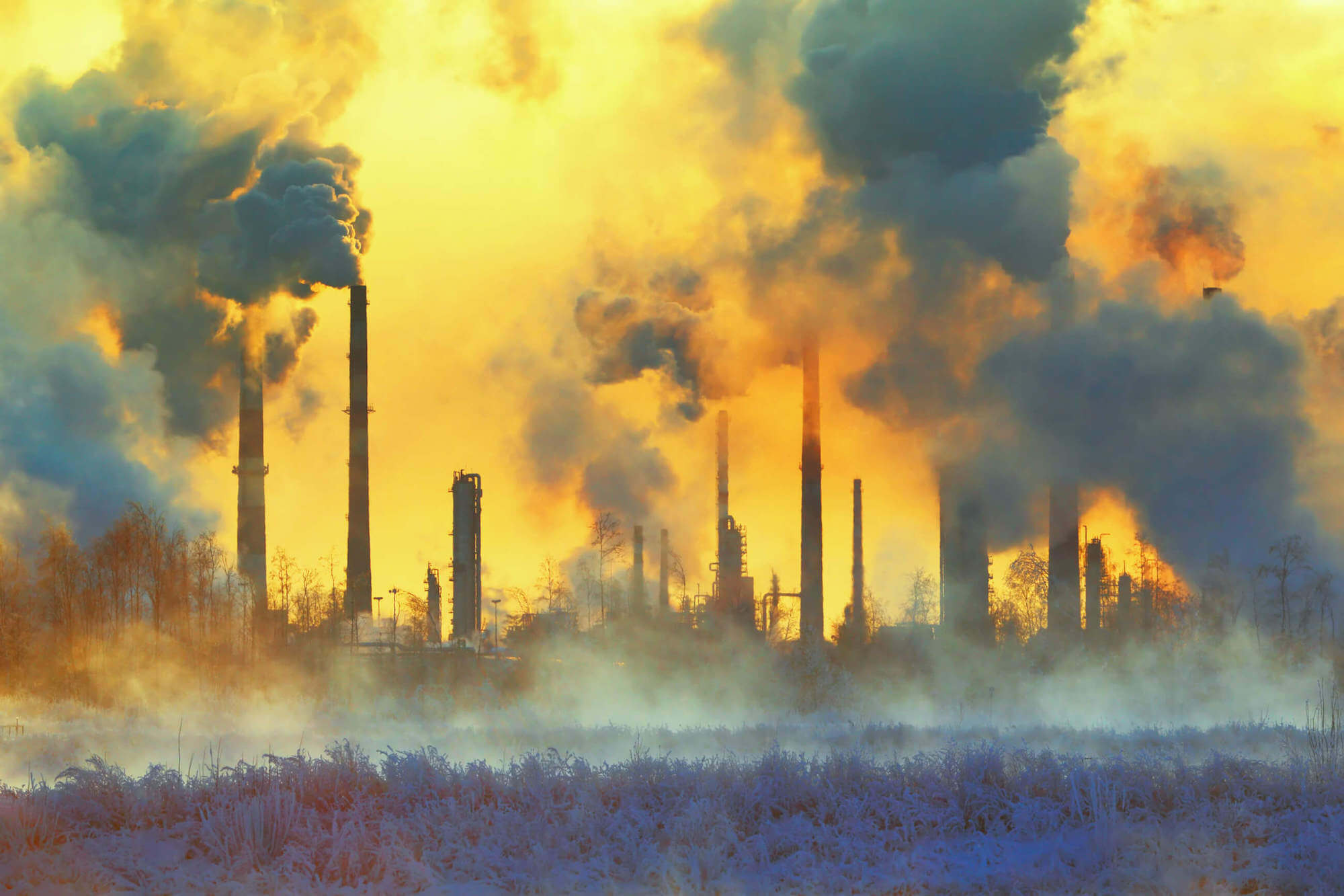 mercury toxicity