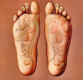 Foot Nerve Endings Chart