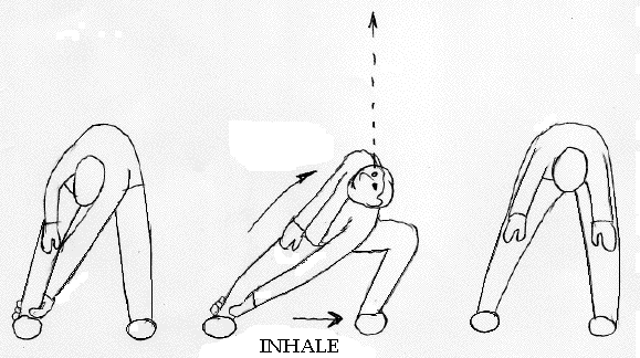 back pain exercises